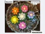 IMG-20250928-WA0064