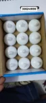 IMG-20250928-WA0097