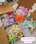 Girly hamper 15