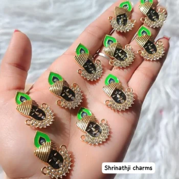 Shreenathji charm 310