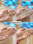 Meena stone 421