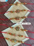 Rudra elly rakhi 248