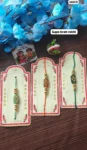 Supa broh rakhi 544
